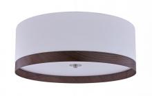 <if condition='$lang eq cn'>吸顶灯<else />Ceiling</if>